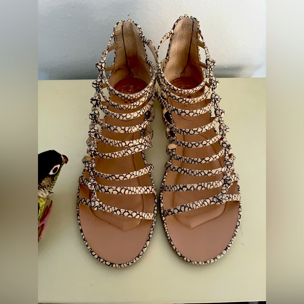 Vince Camuto Lendrila Gladiator Sandal, Size 8.5
